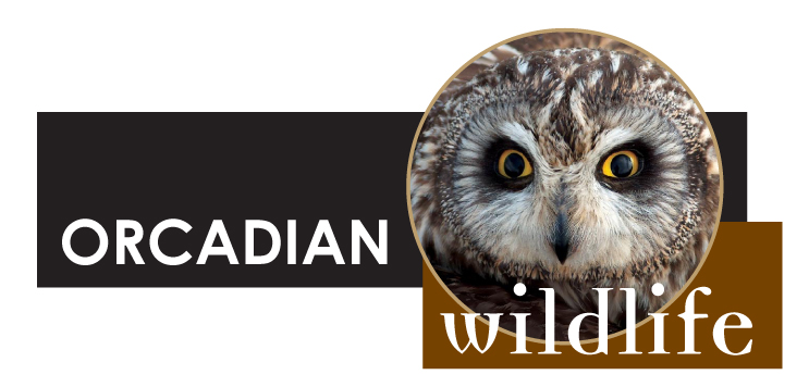 Orcadian Wildlife Logo
