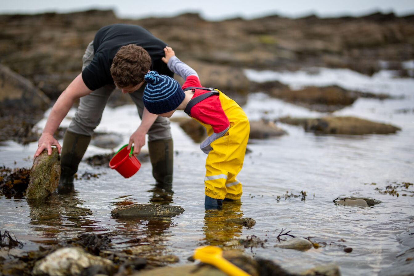 Rockpooling at the Brough of Birsay, Orkney