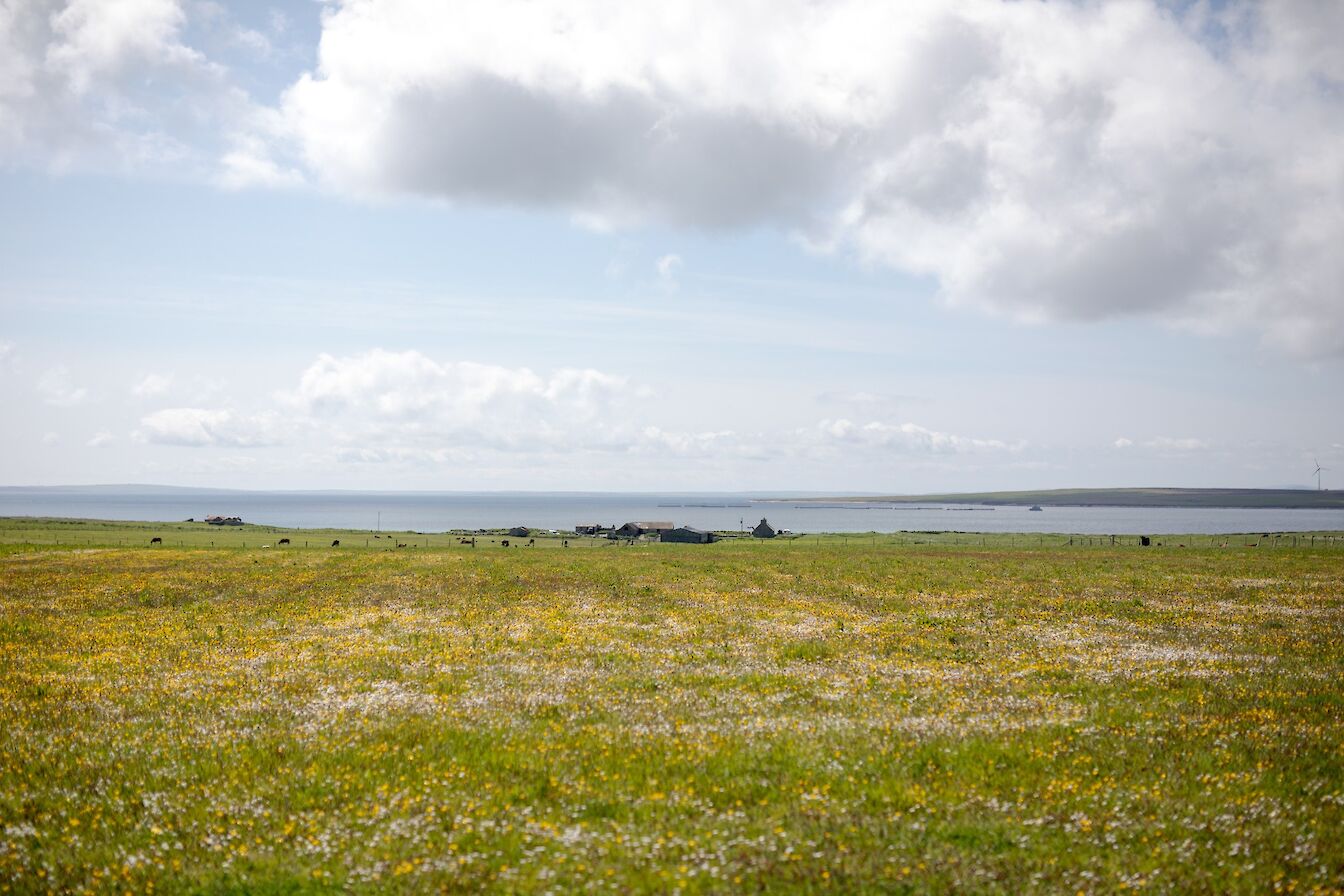 View over farmland in Stronsay, Orkney