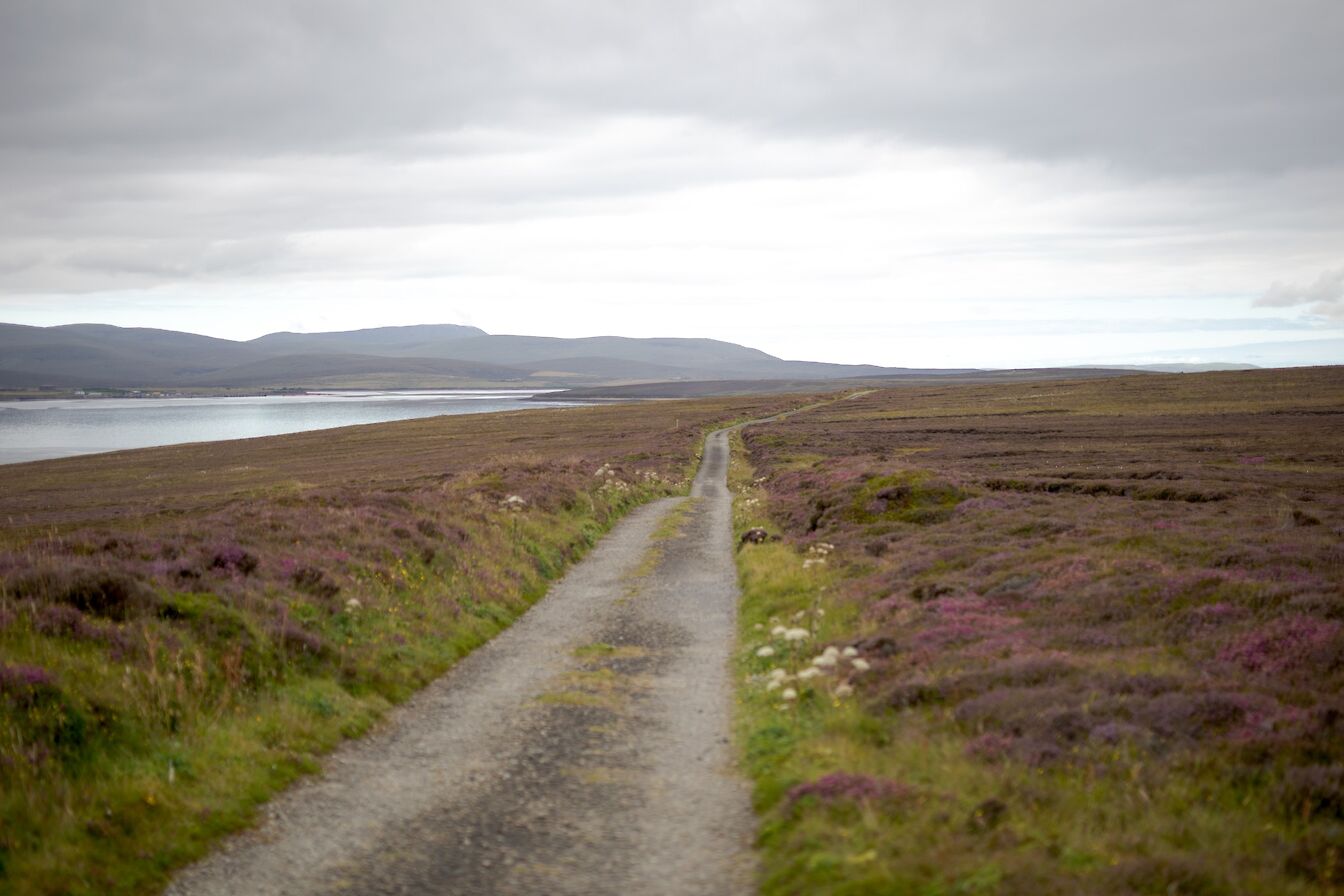 Road around the west side of Flotta, Orkney