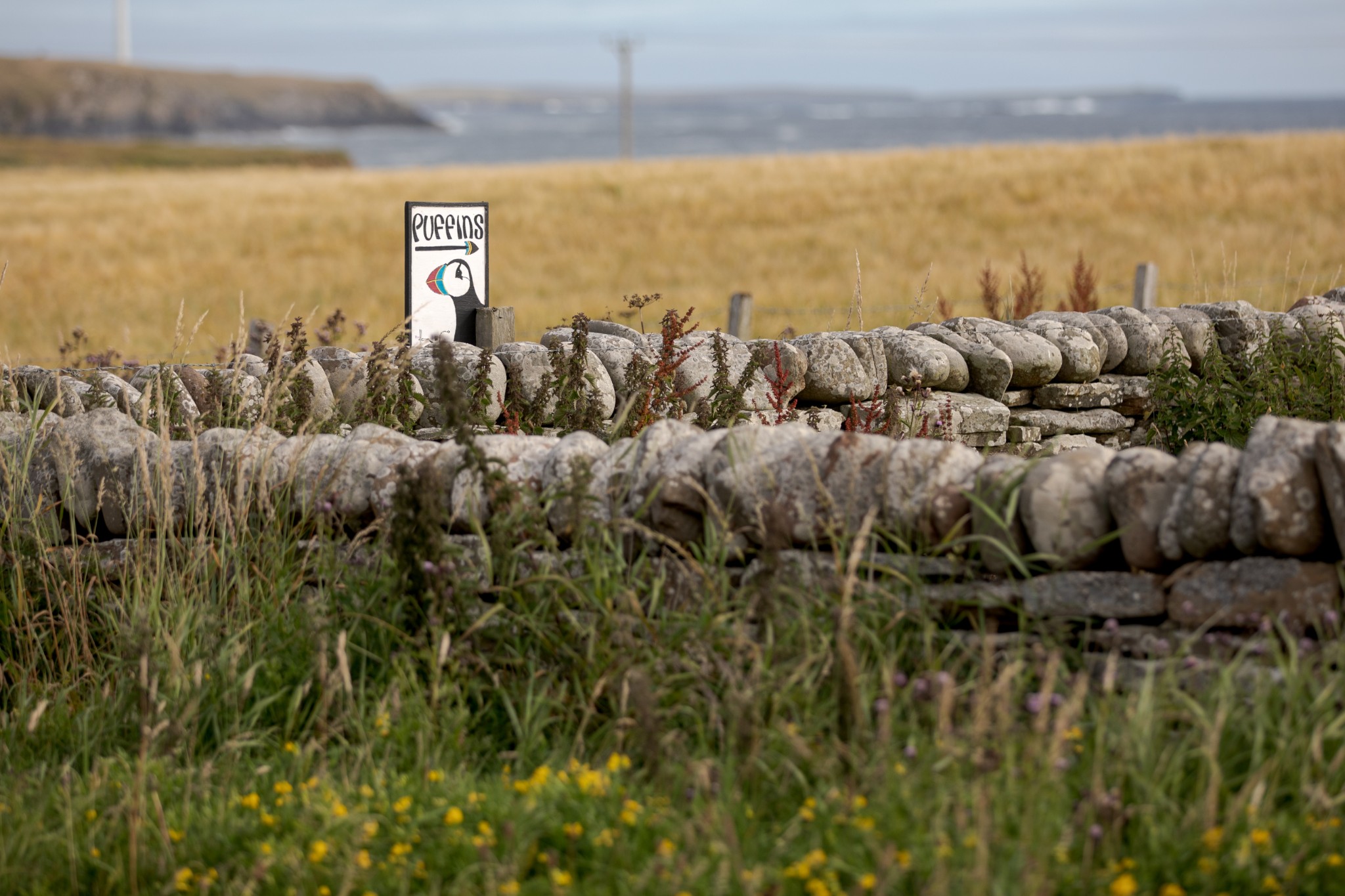 Puffin sign at the Castle of Burrian, Westray, Orkney