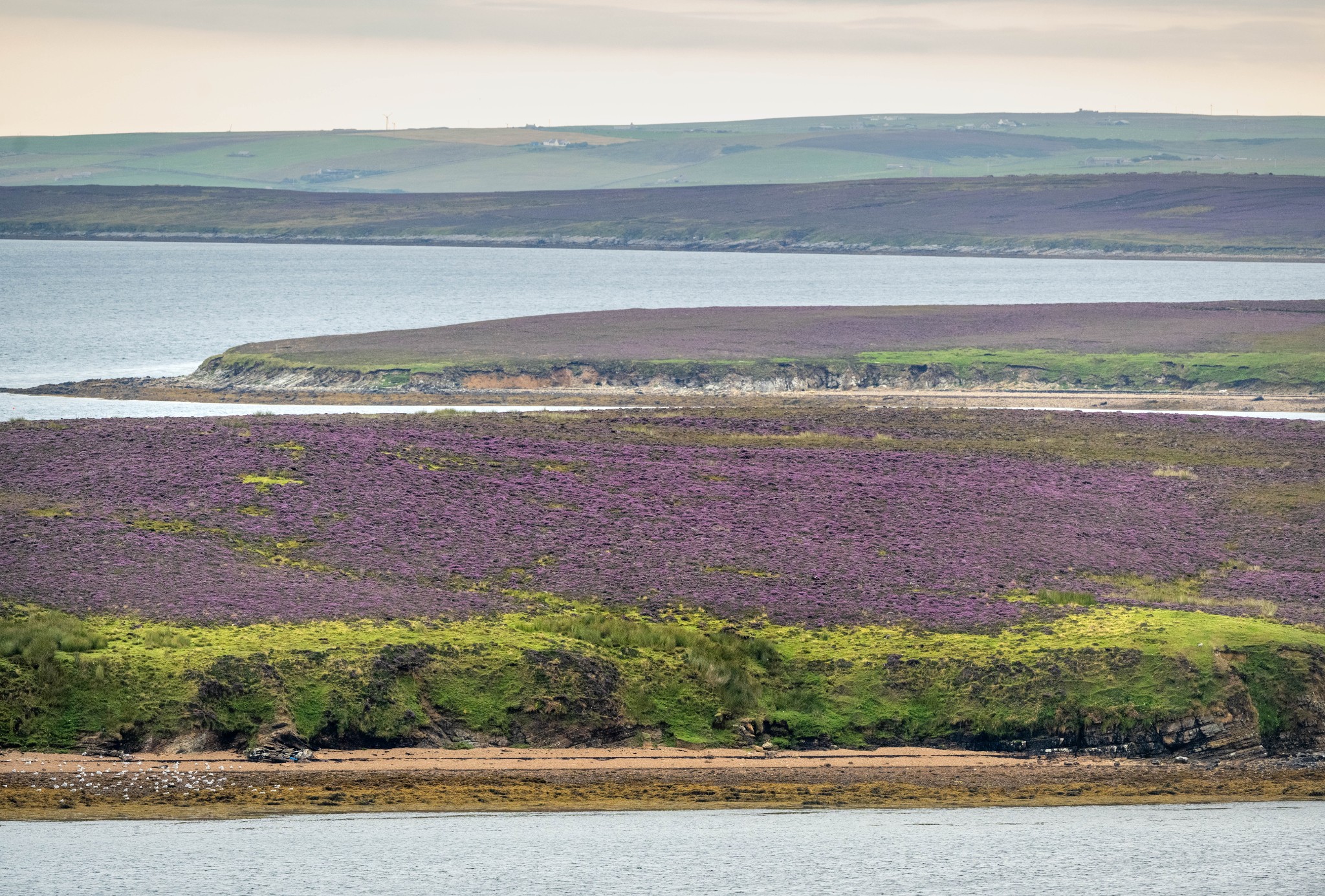 View over Rysa Little in Orkney - image by Raymond Besant