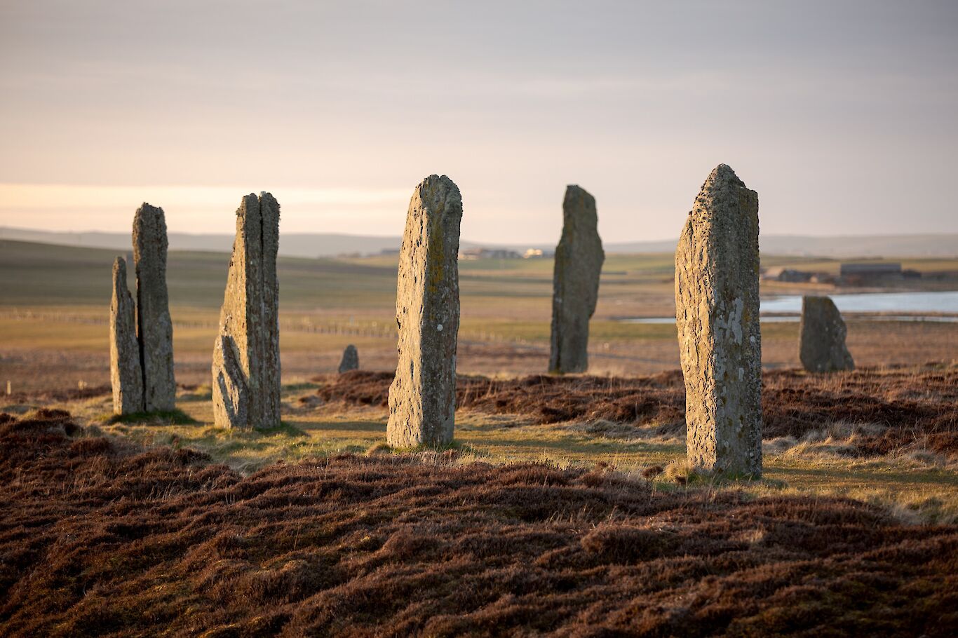 Follow Orkney's spring wildlife trail | Orkney.com