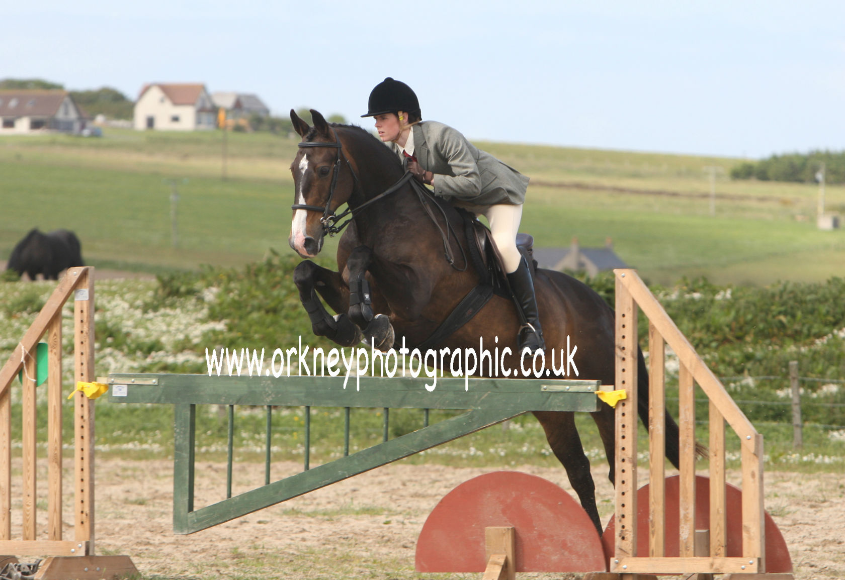 Jo Donaldson on Woodlands Bay at the Orkney Riding club show. more photographs on www.orkneyphotographic.co.uk