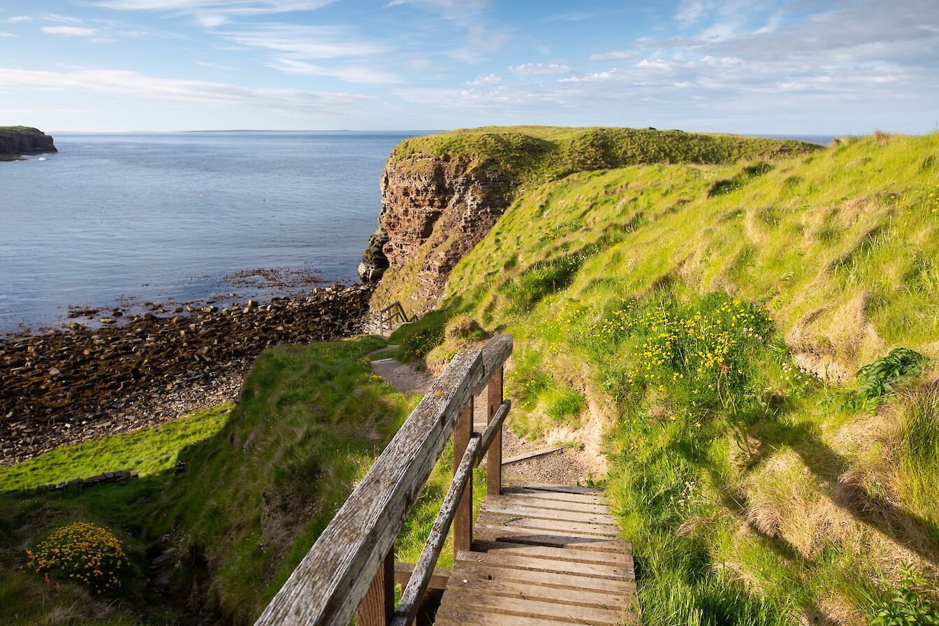 Path to the Brough of Deerness, Orkney