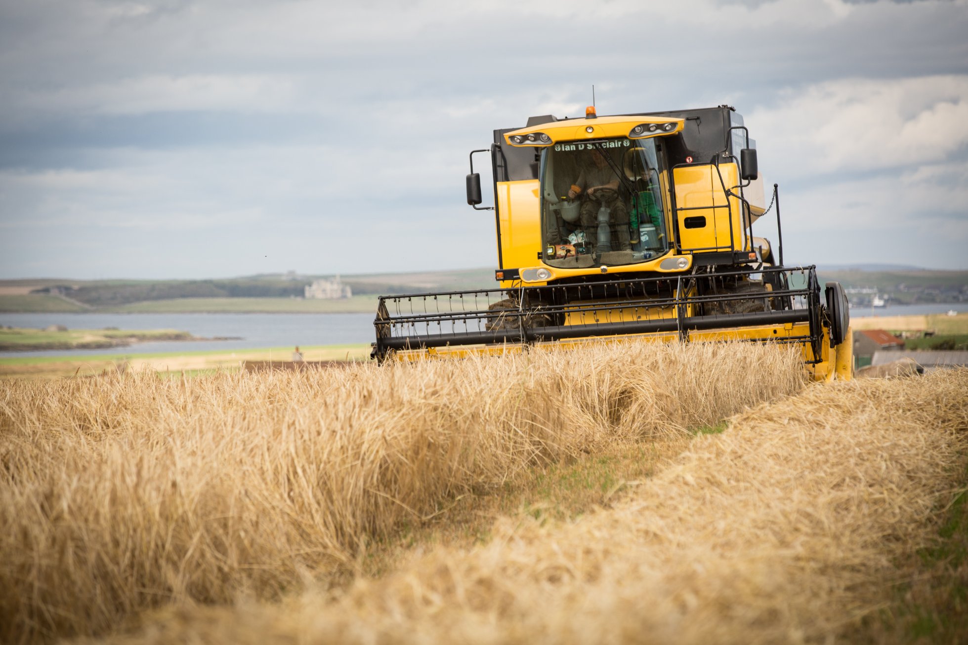 The bere harvest underway at the Agronomy Institute at Orkney College UHI