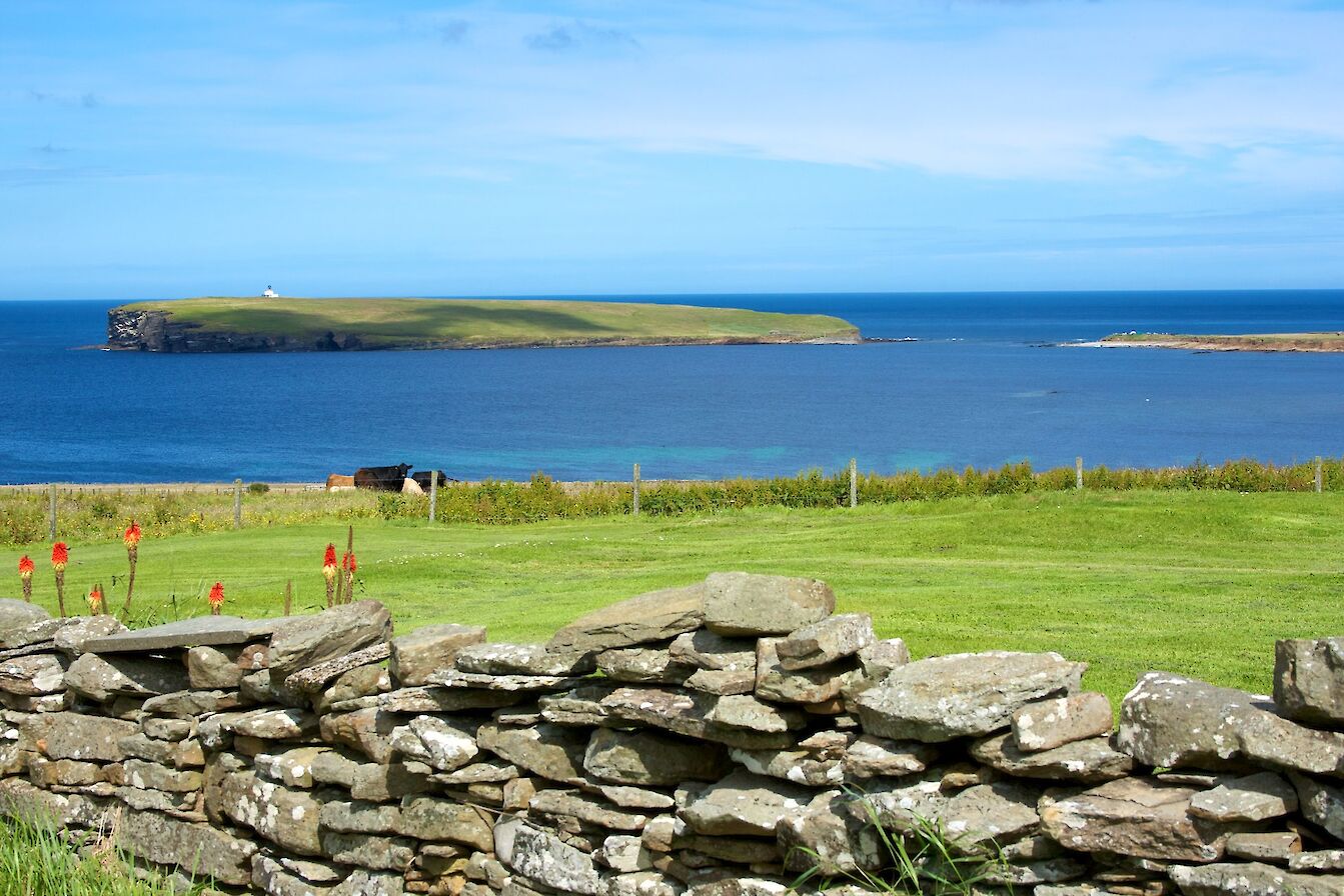 View towards the Brough of Birsay - image by Colin Keldie