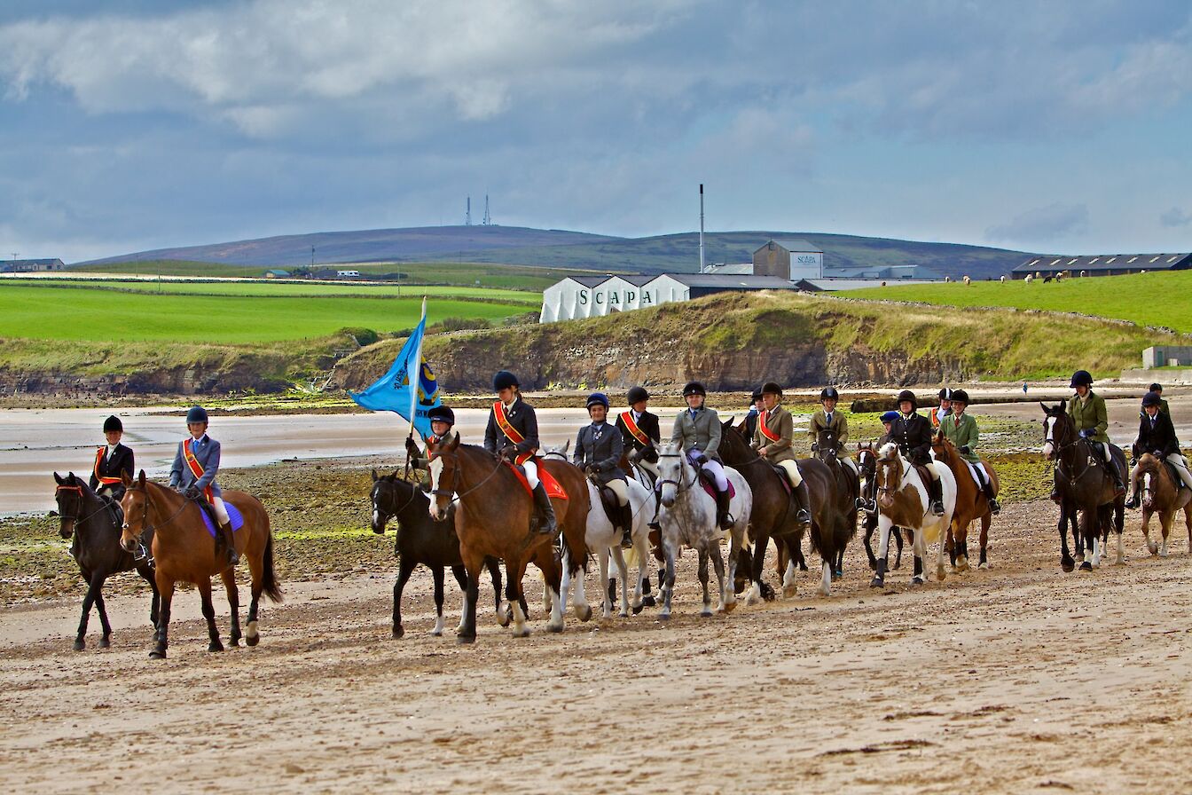 Horses on Scapa beach during the annual Riding of the Marches - image by Colin Keldie